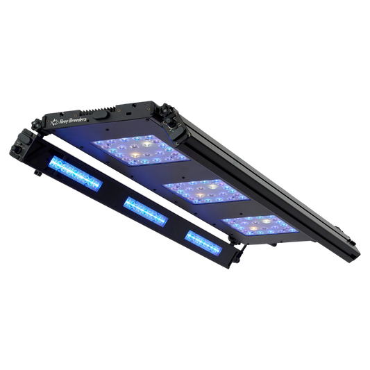Meridian 35 Edge Bar Bundle