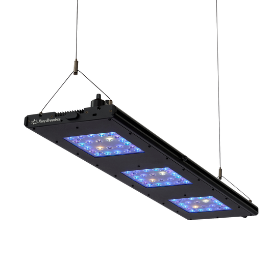 Meridian 35