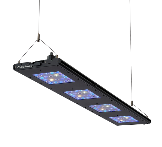 Meridian 45