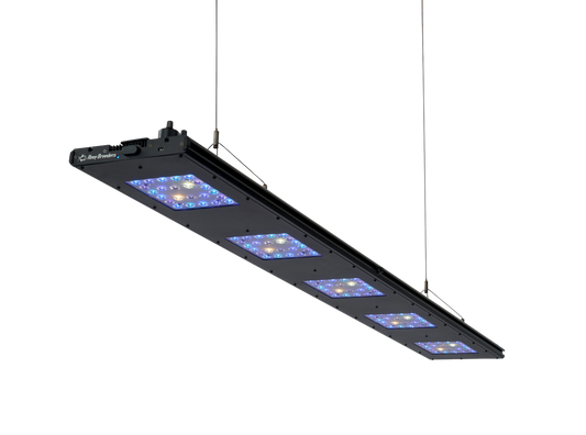 Meridian 63