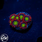 GSC Goblins Fire Zoas #1