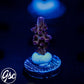 RR Robinhood Acro #3 (Non-Grafted)
