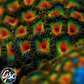 GSC Rasta Zoas #3