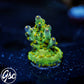 WWC Aurora Acro #3
