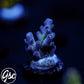 GSC Cosmo Gumdrop Acro #1 (New Release!)