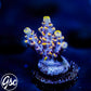 Z's Blue Floyd Acro #1