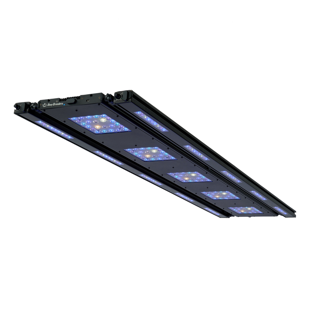 Meridian 63 Edge Bar Bundle