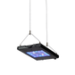 Meridian 11