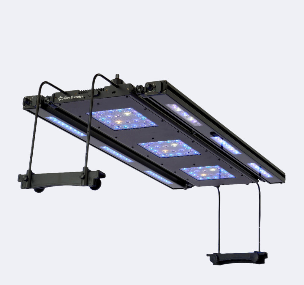 Meridian 35 Edge Bar Bundle