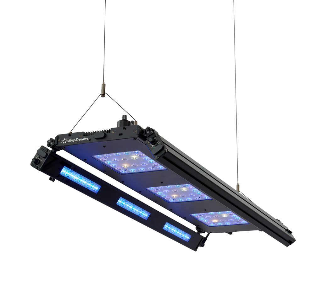 Meridian 35 Edge Bar Bundle