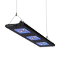 Meridian 35