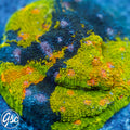 GSC Crayola Meltdown Chalice
